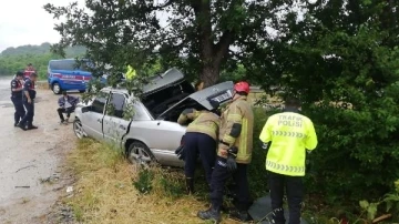 Bursa'da otomobil ağaca çarptı; baba ile 2 çocuğu yaralandı