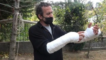 Bursa'da pitbullu saldırıya uğradı