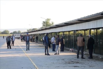 Bursa'da şap hastalığı nedeniyle kapatılan hayvan pazarı yeniden açıldı 