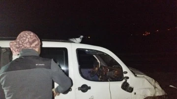 Bursa'da takla atan araçtaki güvercin araç başından ayrılmadı