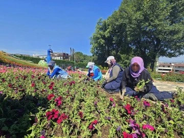 Bursa Osmangazi Belediyesi 338 bin çiçeği toprakla buluşturdu 