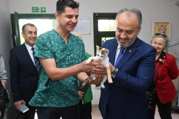 Bursa, Türkiye’nin en modern sokak hayvanları rehabilitasyon merkezine ev sahipliği yapıyor