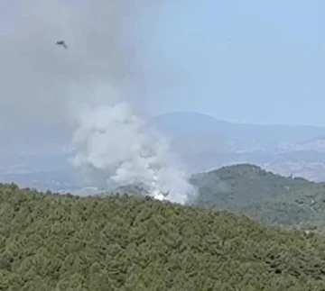 Bursa ve Kütahya'yı tehdit eden orman yangını 