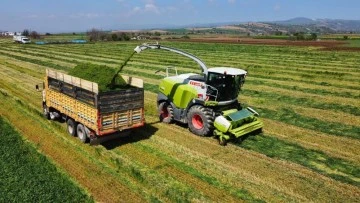 Bursa Yenişehir'de çiftçiler hasat için sahaya indi
