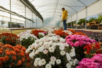 Büyükşehir Belediyesi Aydın’ı renklendiren çiçekleri kendi üretiyor
