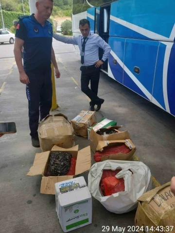 Büyükşehir zabıta ekipleri 176.5 kg midyeye el koydu
