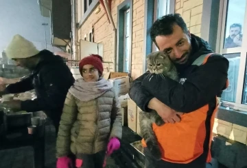 Çadır kentin neşesi oldu: Terk edilen kediyi AFAD gönüllüleri sahiplendi
