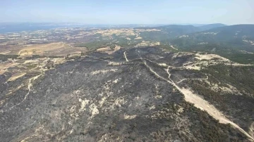Çanakkale’de bu yıl 114 orman yangınında 4 bin 260 hektar ormanlık alan zarar gördü
