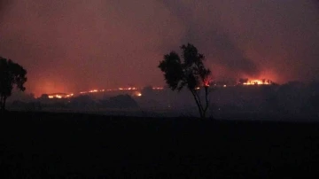 Çanakkale’de orman yangını büyüdü, 1 köy boşaltıldı