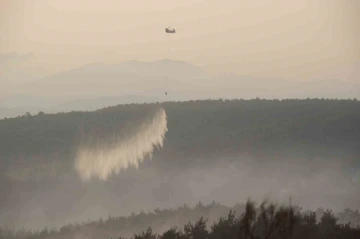 Çanakkale’deki orman yangını kontrol altında...Uçaklar 2828 sortu yaptı, 503 saat havada kaldı
