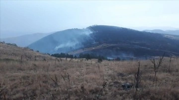 Çankırı'da çıkan yangında 50 dönüm ormanlık alan zarar gördü