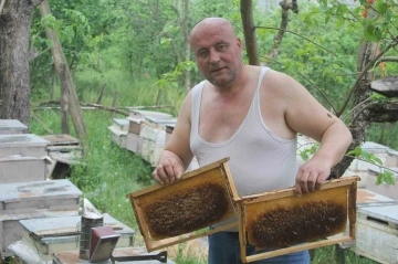 Çılgın arıcı: Arılara yarı çıplak ve eldivensiz müdahale ediyor
