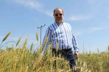 Cumhurbaşkanı Erdoğan’ın buğday fiyatı açıklaması Edirneli üreticileri sevindirdi
