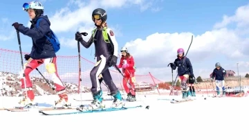 Dağ Kayağı Gençler ve Büyükler Türkiye Şampiyonası Erzincan’da düzenlenecek
