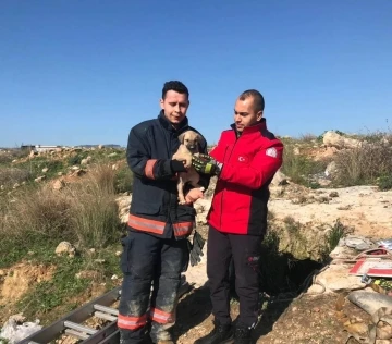 Definecilerin kazdığı kuyuya düşen köpek itfaiye ekiplerince kurtarıldı
