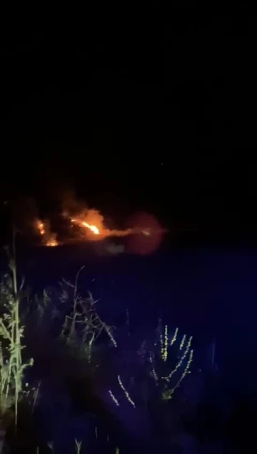 Denizli’de orman yangını kısa sürede söndürüldü
