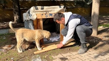 Deprem bölgesinde "Şanslı" ismi verilen sahipsiz köpeğin bakımını polis ekipleri üstlendi