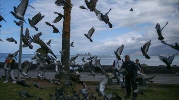 Depremlerin vurduğu İskenderun'daki kuşlar "Hasan amca"ya emanet