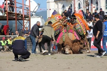 Antalya'da düzenlenen deve güreşinde kavga