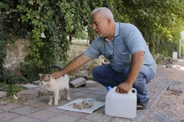 Diyarbakır sıcaklarında günde 3-4 bin sokak hayvanına mama ve su veriliyor
