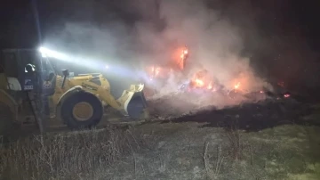 Domaniç’te çıkan yangında 20 büyükbaş hayvan yanmaktan son anda kurtarıldı
