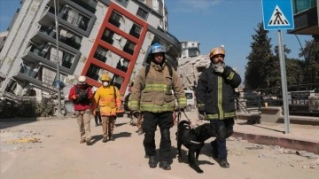 Dost patiler Türkiye'deki depremlerde can kurtarma mücadelesinin ortağı oldu