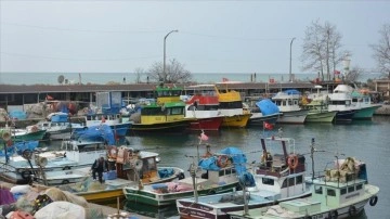 Düzce'de balıkçılar umudunu havaların soğumasına bağladı