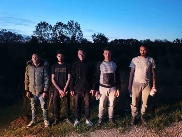 Edirne’de 5 kaçak göçmen yakalandı
