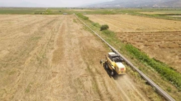 Efeler Belediyesi’nden buğday hasadı

