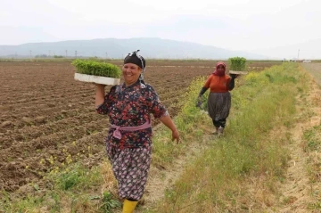Efeler’de ’Yüzde Yüz Kadın Emeği Tarımsal Ürün Fabrikası’ Türkiye’ye örnek oluyor
