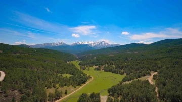 Ege’nin 2. en yüksek dağı Akdağ, Milli Park ilan edildi
