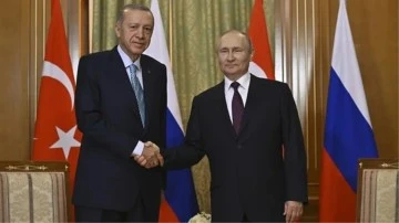 Erdoğan ve Putin'in öğle yemeği menüsü 