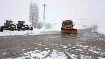 Erzincan’da mart karı
