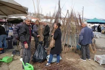 Erzincan’da meyve fidanı satışı başladı
