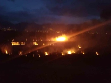 Erzincan’da örtü yangını korkuttu
