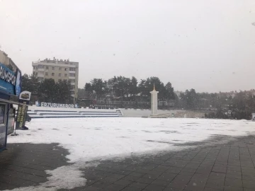 Erzurum’da kar yağışı etkili oluyor
