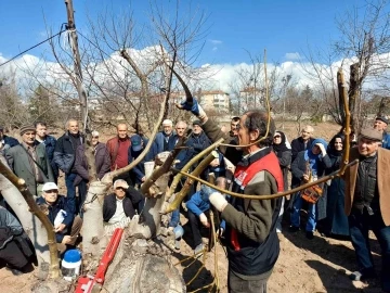 Eskişehir çiftçisine meyve ağaçlarında budama ve aşılama eğitimi verildi
