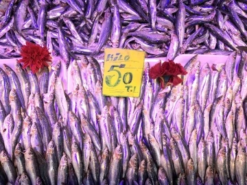 Eskişehir’de balık fiyatları
