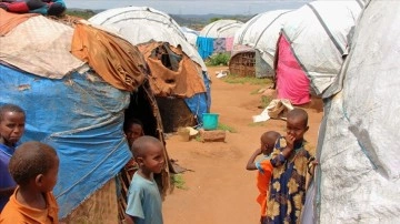 Etiyopya'nın Tigray bölgesinde nüfusun yüzde 91'i açlık ve ölüm tehlikesiyle karşı karşıya