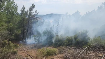 Gelibolu’da yıldırım düşmesi sonucu çıkan orman yangını kontrol altına alındı