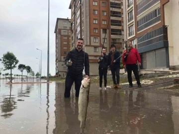 Gençlerden CHP’li belediyeye ilginç tepki: Göle dönen yolda balık tuttular
