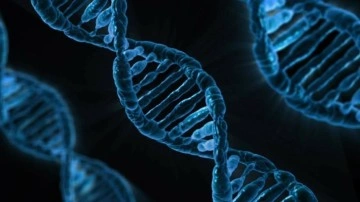 Google'ın yapay zeka şirketi DeepMind, DNA'da hastalığa yol açan genlerin bulunmasını hızlı teşhis