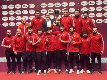 Grekoromen Güreş Milli Takımı, Avrupa şampiyonu
