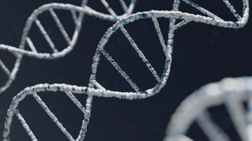 2 milyon yıllık DNA örneğine rastlandı