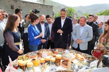 Hakkari’de yöresel lezzetler festivali düzenlendi
