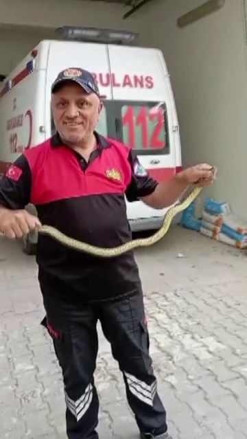Hastane morgu önünde yılan paniği