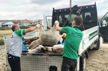 İnegöl Belediyesi 300 ton kurban atığı topladı