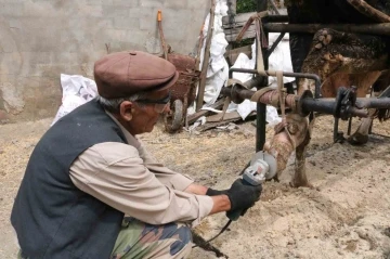 Bursa'da ineklere manikür - pedikür yapıyor