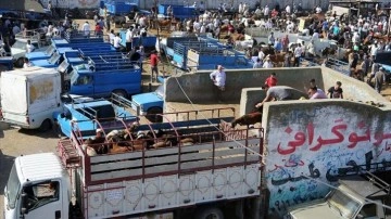 İran'ın "en büyük ikinci" hayvan pazarında bayram öncesi büyük yoğunluk yaşanıyor