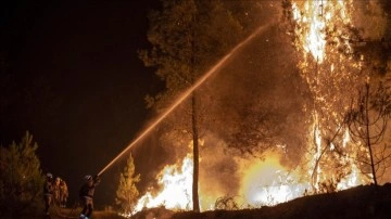 İspanya'da orman yangınları bu kez ülkenin kuzeyinde başladı